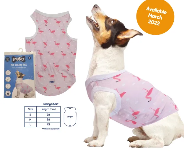 Animate - Pet Cooling Bandana - Fish - Small - 51 x 18cm