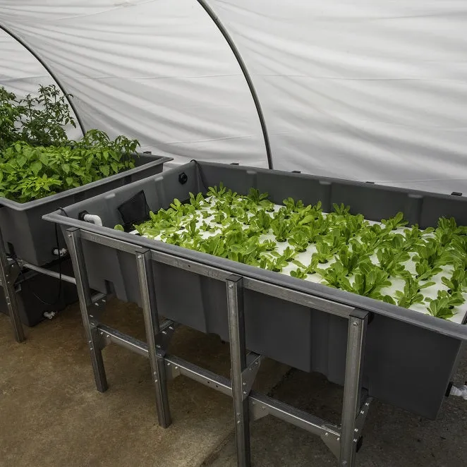 Aquaponic System
