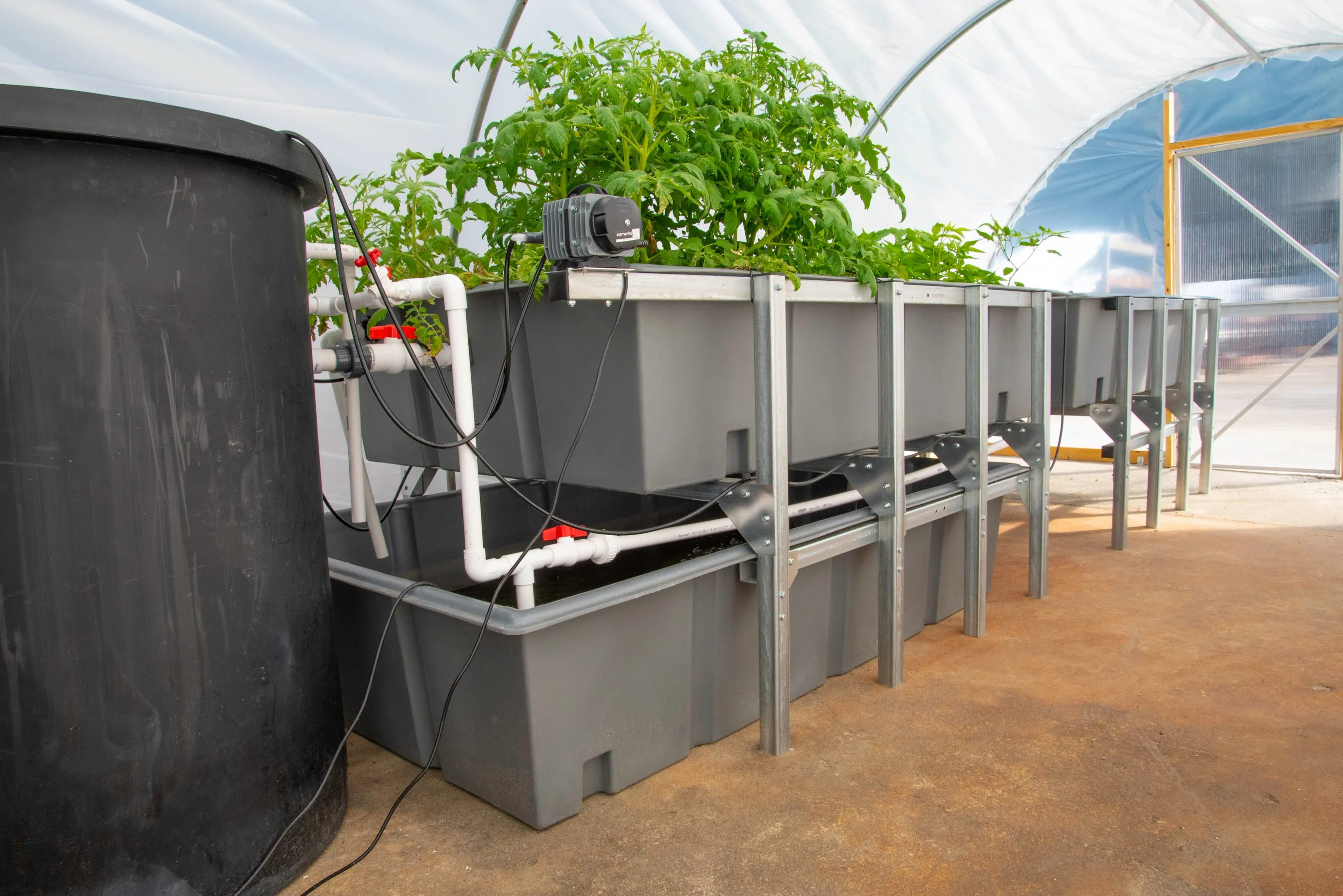 Aquaponic System