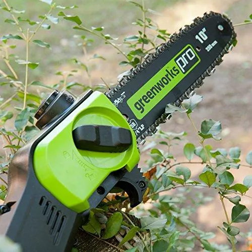 Greenworks PRO 10-Inch 80V Cordless Pole Saw, 2.0 AH Battery Included PS80L210