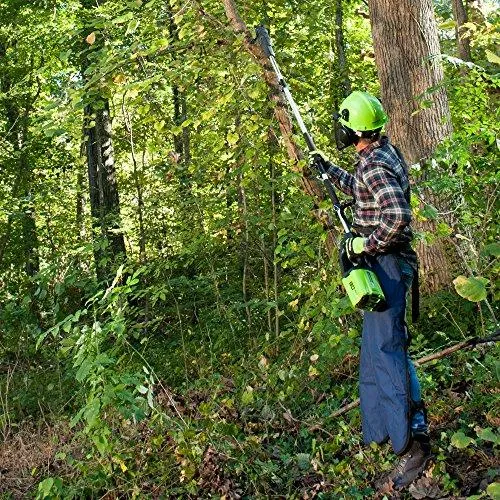 Greenworks PRO 10-Inch 80V Cordless Pole Saw, 2.0 AH Battery Included PS80L210