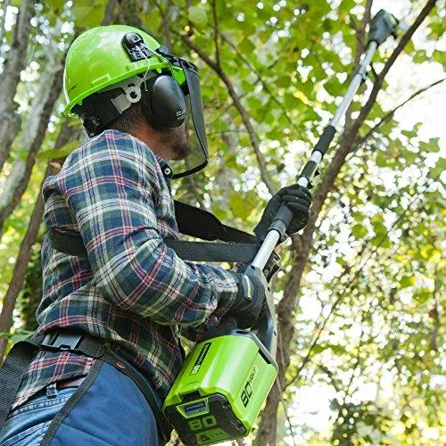 Greenworks PRO 10-Inch 80V Cordless Pole Saw, 2.0 AH Battery Included PS80L210