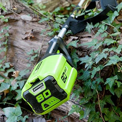 Greenworks PRO 10-Inch 80V Cordless Pole Saw, 2.0 AH Battery Included PS80L210