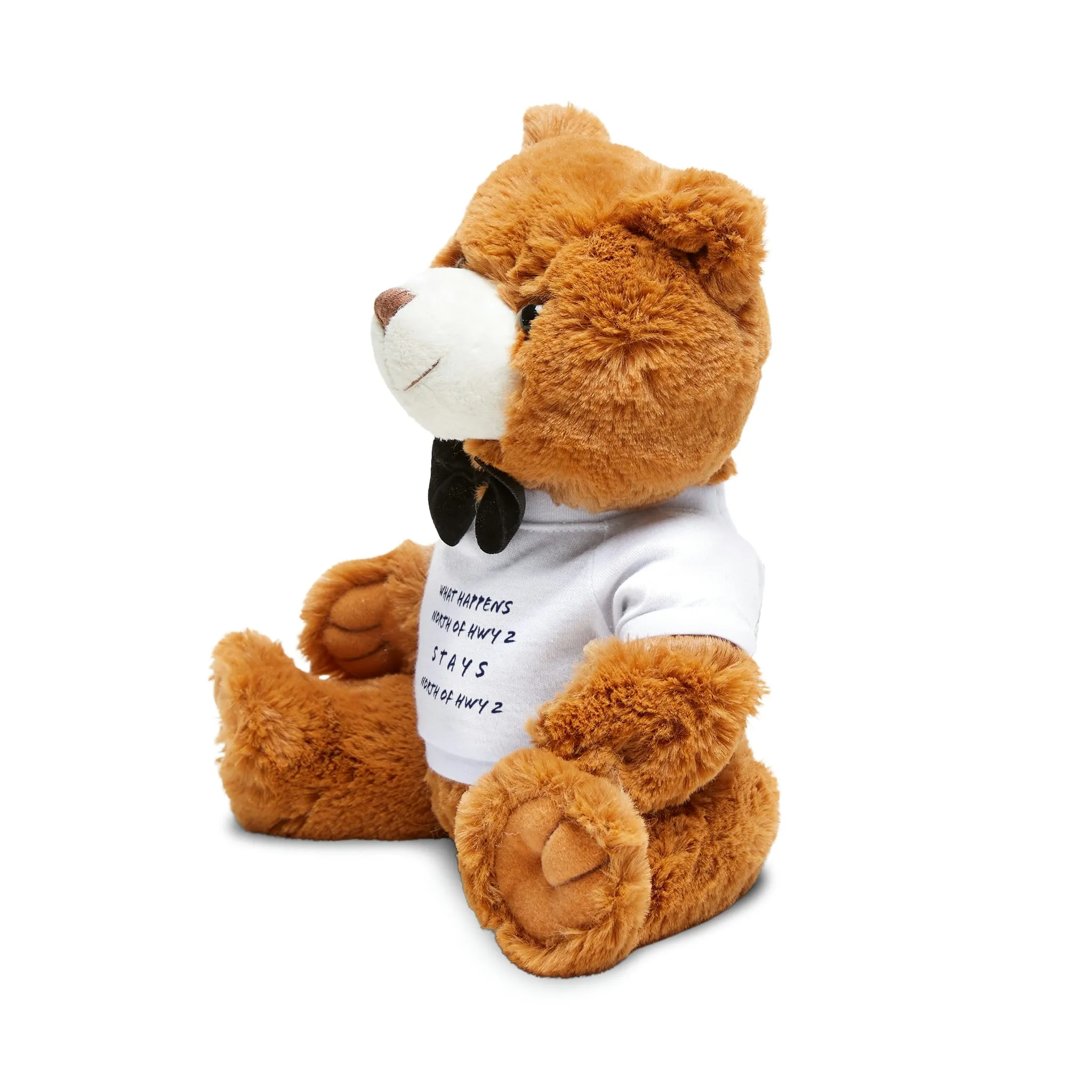 North of Hwy 2 - Teddy Bear with T-Shirt