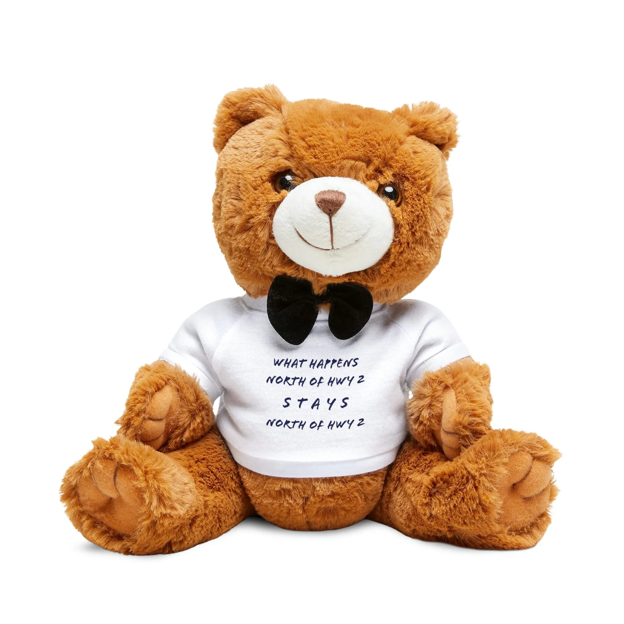 North of Hwy 2 - Teddy Bear with T-Shirt