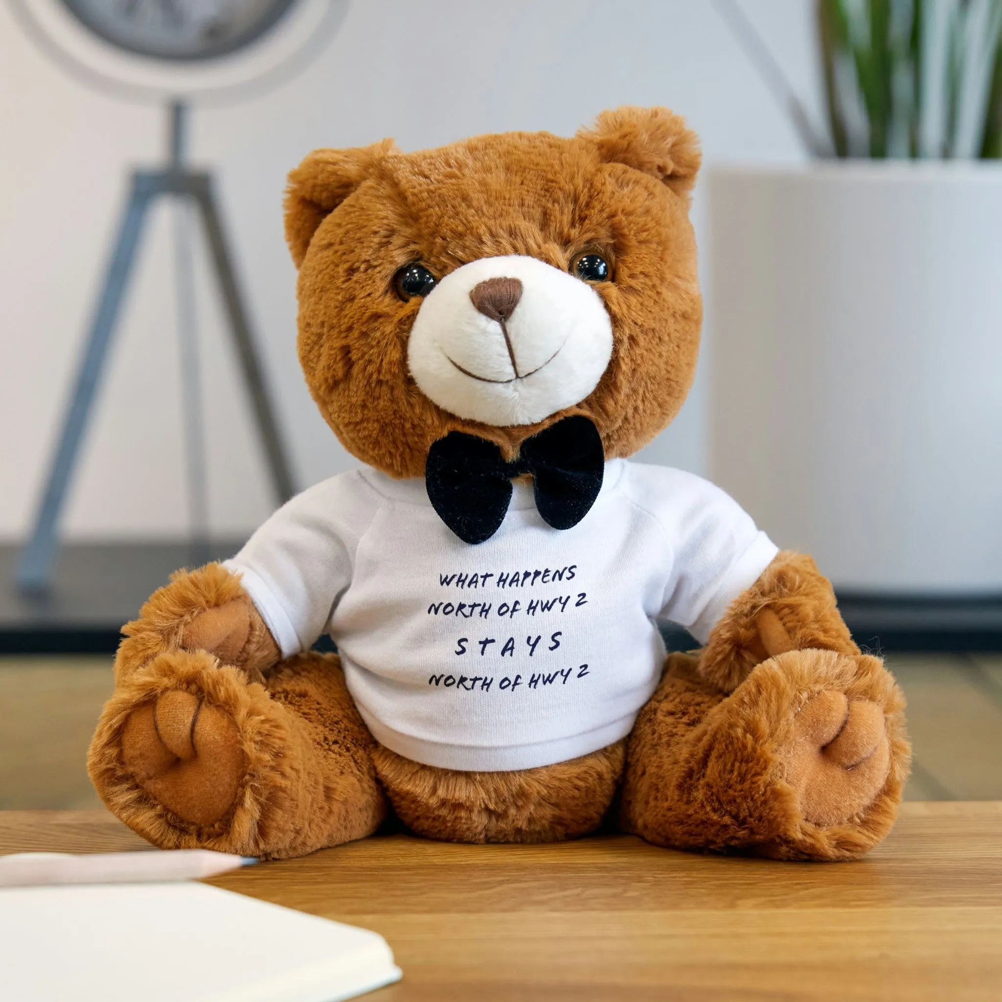 North of Hwy 2 - Teddy Bear with T-Shirt