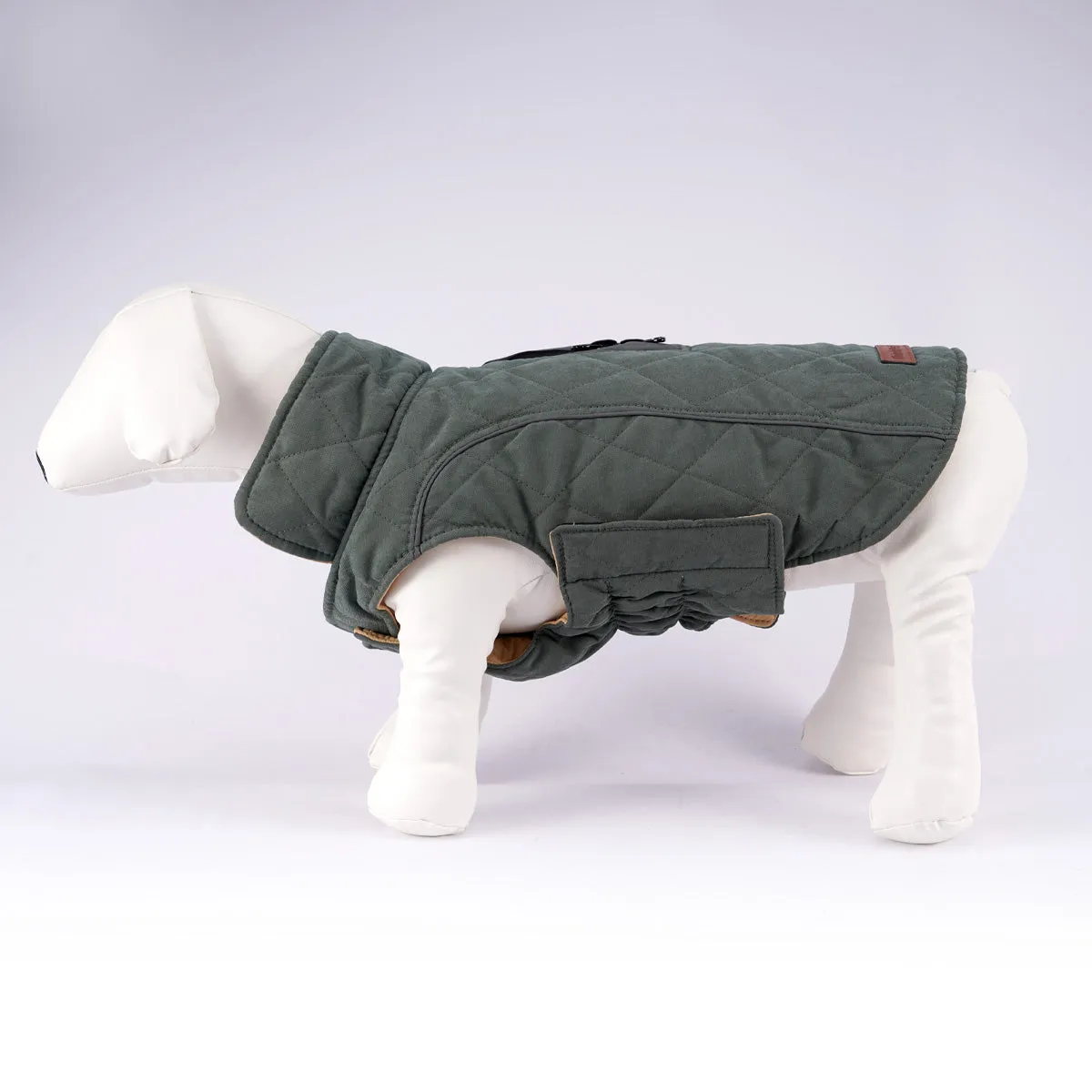 ThinkPet Dog Winter Coat - Green